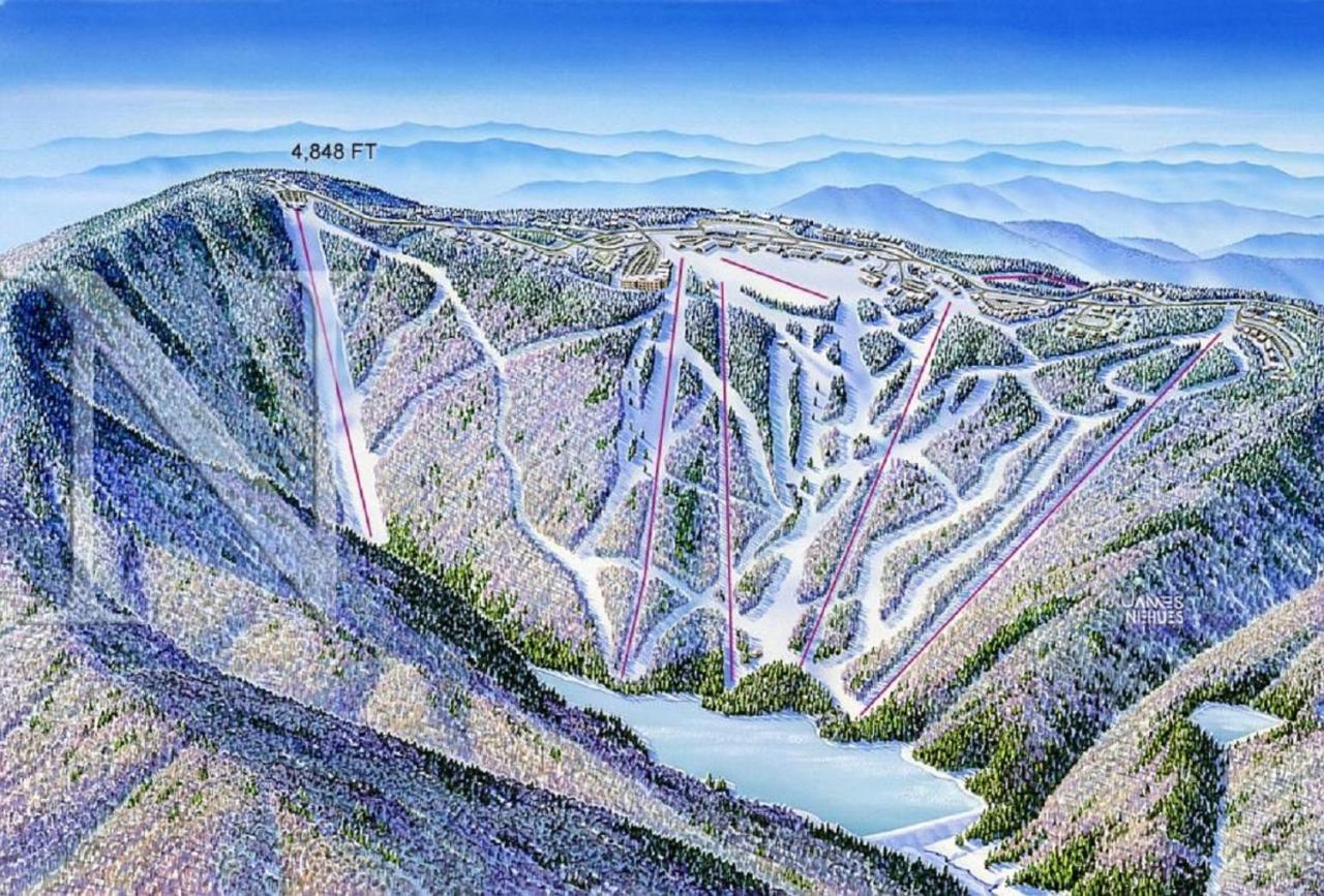 Stroll To Slopes, Village Area, Ski In-Out Mtlodge 151 Snowshoe Exteriör bild